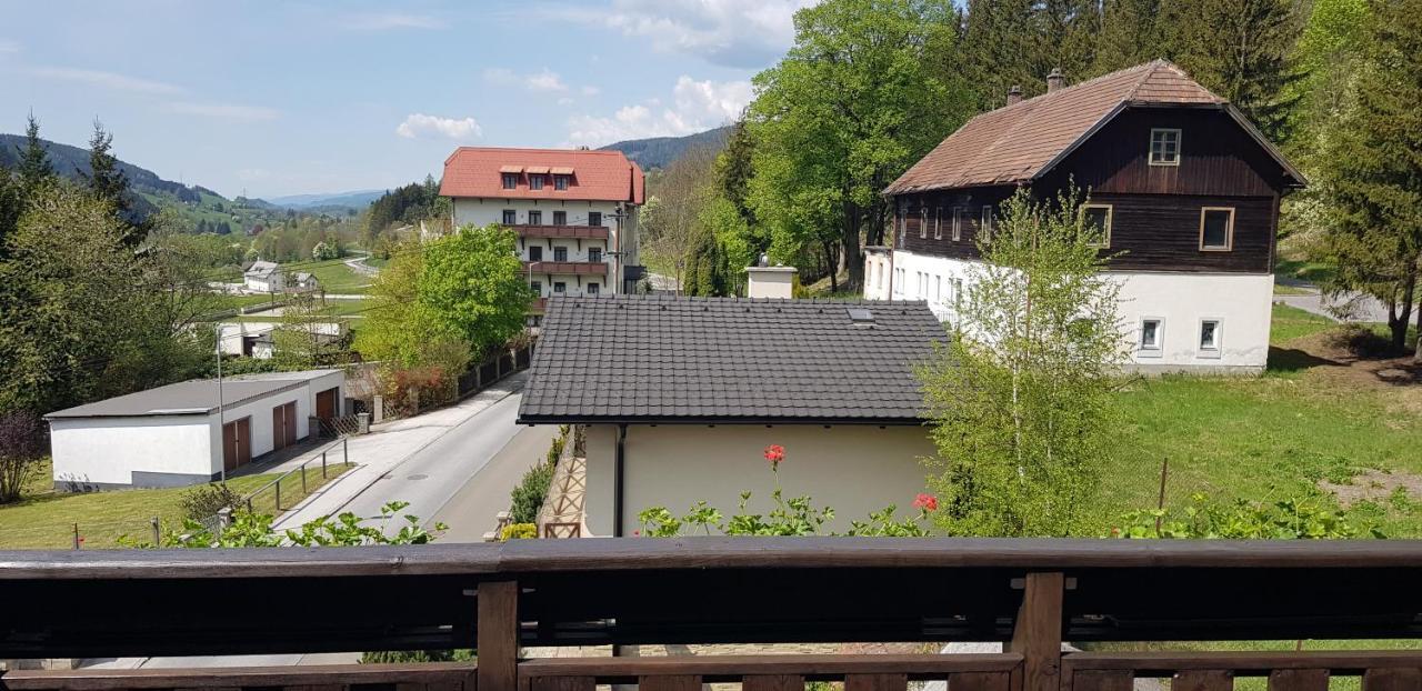 Haus Elena Am Semmering Steinhaus am Semmering Ngoại thất bức ảnh