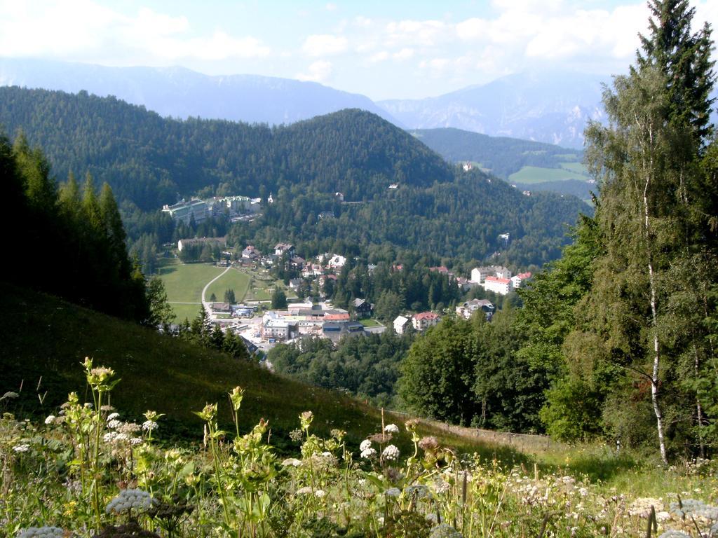 Haus Elena Am Semmering Steinhaus am Semmering Ngoại thất bức ảnh